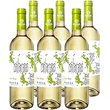 CUATRO RAYAS Cantarranas Verdejo - Vino Blanco DO Rueda (6 Botellas x 750ml)
