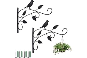 Coolty 2 Pezzi Ganci da Parete per Piante da Appendere al Cesto Retrò da Appendere per Lanterne e Mangiatoie per Uccelli, Decorazione di Campanelli a Vento