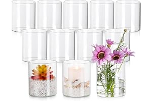 ZOFUN 12 vaser 10 cm glas, 10 x 8,5 cm glasvas, cylinder runda, blommor, rosor, bordsdekoration