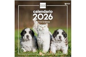 Finocam - Calendario de pared 2026 30x30 cm Mes Vista Enero - Diciembre 2026 + Sep.- Dic. 2025 (4 meses) reducidos | Calendario 2026 | Imágenes Perros y gatos - Español
