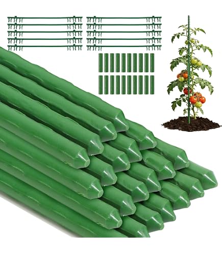 20x Pflanzstab, 16mm Lnge 240cm. Die innovativen, flexibel und  mitwachsenden Pflanzstbe, Metallrohr kunststoffummantelt  Rankstbe fr  Pflanzen, Gurken, Tomaten, Kletterpflanzen und Pflanzenhalter : Amazon.de:  Garten