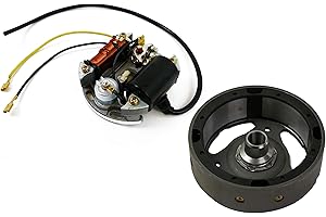 MOTORSPORTGOETZ Lichtmaschine mit Polrad 6V 17W Zündung Bosch passend für Puch, Kreidler, Sachs, Zündapp, KTM