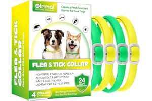 QLIGES Collier Anti puces pour Chien, Collier Anti-Puces et Anti-Tiques pour Chiens, Protection Efficace Pendant 24 Mois, Ajustable et Imperméable (4pcs)-Vert et Jaune