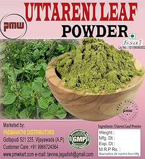 buy pmw apang uttareni latjira onga aghata chirchra leaf powder prickly chaff 300 grams loose packed online at low prices in india amazon in buy pmw apang uttareni latjira
