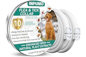 INPUMO Collare Antiparassitario Regolabile Per Cani Piccoli, Medi e Grandi, Antipulci, 10 Mesi di Impermeabilità Naturale, Anti Zecche (2 Pack)