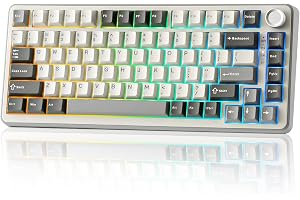 YUNZII B75 PRO 75% Wireless Mechanical Keyboard(Cocoa Cream V2 Switch,Grey) | Hot Swap Keyboard with Knob, Gasket Mount, Creamy Pre-lubed Switch for Smooth Typing, BT/USB-C/2.4G, for Gaming