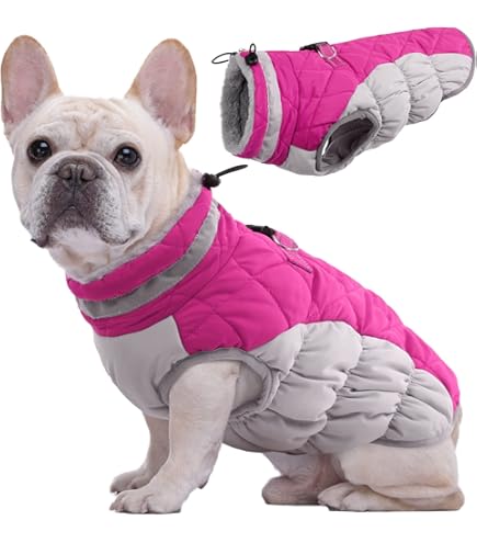 Kuoser Winter hondenjas voor middelgrote honden – Waterdichte & winddichte hondenmantel met fleecevoering, ritssluiting, D-ring & reflectoren – Warme outdoor hondenkleding voor herfst & winter, M Kuoser Winter hondenjas voor middelgrote honden – Waterdichte & winddichte hondenmantel met fleecevoering, ritssluiting, D-ring & reflectoren – Warme outdoor hondenkleding voor herfst & winter, M