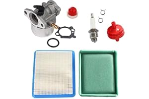RINTALEN OxoxO Carburetor with Air Filter Fuel Filter Primer Bulb Compatible with Briggs & Stratton 799872 790821