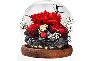 BEINHOME Prezenty dla kobiet, zakonserwowane prawdziwe róże goździkowe ręcznie wykonane w szkle ze światłem, prezenty dla mamy, babci, żony, siostry, dziewczyny, na urodziny, walentynki, Boże Narodzenie,