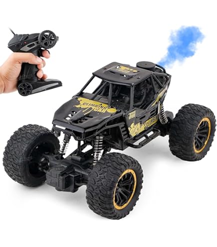 Buy LOSI LOS06000T1 1/4 PROMOTO-MX 1/4 RTR RC Motorcycle - FXR