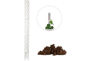 P PLANTME PlantMe Rankhilfe Zimmerpflanze – Rankhilfen für Kletterpflanzen, Monstera, Efeutute, Moosstab, Pflanzstab, Pflanzenstütze, Moss Pole, Kletterhilfe Zimmerpflanzen (70cm inkl. Naturfasern, Weiß)