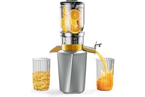 ‎FYENKFAR Fyenkfar ENTSAFTER GEMÜSE UND OBST TESTSIEGER - ENTSAFTER SLOW JUICER für mehr Vitamin und Enzyme, OBST und GEMÜSE in ihrer reinsten Form - für gesunde Ernährung und Familienfeiern (Eisengrau)