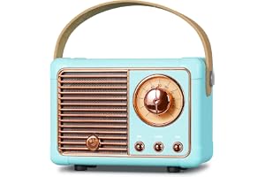 PRUNUS J-999 Mini Bluetooth-högtalare med radio FM, retro uppladdningsbar högtalare, Bluetooth 5.0, enastående bra ljud, stöder USB/TF/AUX/handsfree-samtal