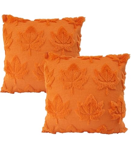 2 Stuks Doux Peluche Laine Courte Velours Décoratif Housses De Coussin