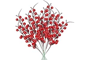NAHUAA 10pcs Künstliche Rote Beeren Deko Weihnachten 26 cm Rote Beeren Zweige Künstliche Beerenzweige Rot Holly für Weihnachtsbaum Dekoration Hochzeit Kunsthandwerk