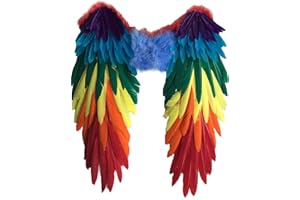 Yummy Bee - Rainbow Angel Feather Wings Fancy Dress - Adult 48cm x 50cm - Parrot Costume Wings - Pride Accessories