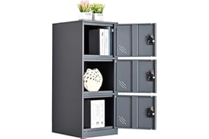 MECOLOR Vertical Single Tier Small Locker with Padlock latche 2 or 3 Compartment Storage for Employee,Home,Office,School,Kids (Full White, P2V) (Grey, P3V)