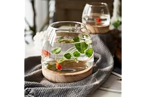 GisooM Mini ciotola per pesci da tavolo, piccola ciotola per pesci in vetro, vasetto idroponico per piante terrario ecologico acquario, vaso di fiori in vetro piante Betta, pesce rosso, B
