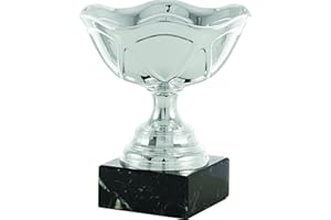 ART-TROPHIES Copa
