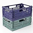 Spesh 2 Pcs Collapsible Crates Storage Boxes Stackable Storage Baskets Plastic Folding Crate Boxes with Handles for Kitchen,Living Room,Office(22*15*9cm,Blue+Dark Green)
