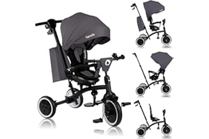LIONELO Tris Plus Multifunktionales Laufrad Dreirad von 9 Monaten bis 5 Jahren bis zu 25 kg, Kinderwagen, Große PU-Räder Drehbarer Sitz 360 ° Verstellbare Rückenlehne Montage ohne Werkzeug