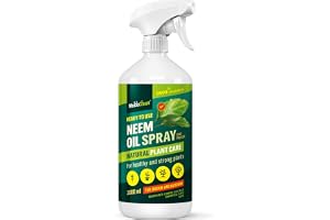 WoldoClean Neemolja Spray 1000 ml färdig lösning - Neem olja för växter | kallpressad, tvåstegsfiltrerad, emulgator av ricinolja, GMO-fri, vegansk, påfyllningsbar flaska med finsprejmunstycke