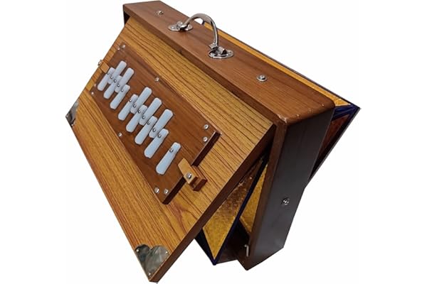 Superbrass Drone indien Shruti Box en teck Gamme complète tonale Grande taille Extra Durable 13 bouchons