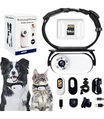 ehomful HD 1080P Kat Camera Kraag met Video Opname, Mini Draadloze