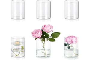 Hewory Vase en Verre Cylindrique: Lot de 6 Vases Cylindriques Vase Transparent Verre Vase Decoratif, Vase Fleur Vase Mariage Vase Verre Cylindrique, Bougeoir Verre Photophore pour Centre de Table