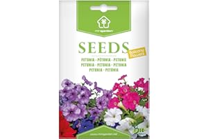 Pétunia, Graines prêt à Pousser Minigarden, 100% Naturelles sans Propagateurs Chimiques ni Génie Génétique, inclut entre 2100 et 2400 graines