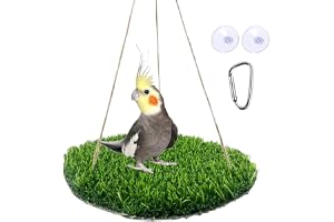 Bird Foraging Mat Toy, Bird Hammock Swing and Hooks, Interactive Climbing Perch and Chew Toy for Parakeets, Parrots, Cockatiels, Bearded Dragons, Snakes, Small Pets