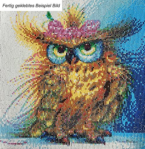 Diamond Painting Bild Handarbeit Set Basteln Diamanten Strass Katze - 5