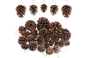 FANGOO 25 Piezas Conos de Pino de Navidad Piñas Natural Conos de Pino de árbol de Navidad Piñas navideñas Adornos Colgantes para el hogar Árbol de Navidad Decoración de otoño Invierno,Tamaños Surtidos