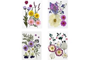 DFSUCCES 4 Packs About 60 Pcs,Pressed Dried Flowers,Real Dried Pressed Flowers,Pressed Flowers for Resin,Mixed Multiple Natural Flowers Leaves,for Crafts Making Floral Decors Scrapbooking DIY (4-4)