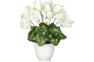 OAIRSE Fiori di ciclamino artificiali in vaso, fiori finti in seta, piante in vaso bianco finto ciclamino bianco, decorazione per la casa, ufficio, bagno, mensola, scrivania, decorazioni
