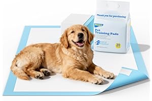 Barpor Alaise pour Chien 60x60cm - Aleses Jetables pour Chien 20 Pièces, Tapis de Propreté Chien Tapis pour Chiot Anti-Fuite, Super Absorbants, Design à 5 Couches avec Surface à Séchage Rapide