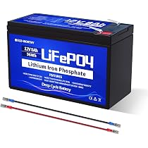 ECO-WORTHY LiFePO4 Akku 12V 20Ah Lithiumbatterie wiederaufladbar mit ECO-WORTHY LiFePO4 Akku 12V 20Ah Lithiumbatterie wiederaufladbar mit