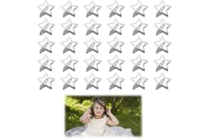 RARWIND 30 Stück Stern Haarspangen Mädchen, Niedliche Metall Star Hair Clip, Silbrig Stern Pentagramm Haarspangen für Glattes Haar Lockiges Haar Frauen Mädchen