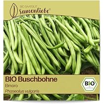 Buschbohne 'Brittle Wax' Saatgut – Spätreifende Wachsbohne Mit Hervorragender Hülsenqualität