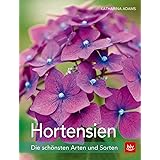 Hortensien: Die schönsten Arten und Sorten