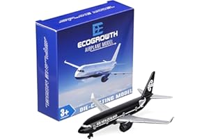 EcoGrowth Model Airplane New Zealand Model Plane Airplane for Collection & Gifts