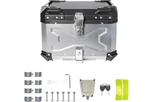 QAWNER Topcase Motorradkoffer für 1-2 Helme - Top case 55, 65L, Aluminium-Motorradkoffer, Wasserdichter Motorradkoffer, Universal Motorrad Topcase für Roller, Motorrad, Mofa & Quad (Silber, 55L)