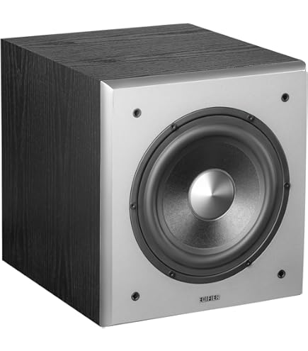 SpeakerCraft OE5 One Outdoor Speaker - Each (Black) : Amazon.in