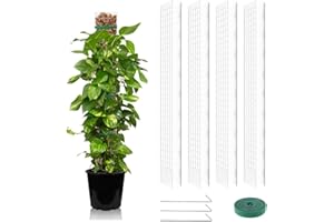 FONWUJIOT Bâton de Mousse Support pour Plantes, 4 Pièces Tuteur Monstera Plastique, 60 cm Tuteur Plastique Sphaigne, Tuteur Monstera, Tuteur Plastique Transparent avec 3 Piquets et 1 Bandes Velcro