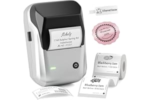 NIIMBOT B1 Bluetooth Label Maker Machine, Portable Label Printer, Large Waterproof Label, Versatile APP, 2-inch Thermal Label Printer for Clothing,Spice, Address, Barcode,Logo (Sliver)
