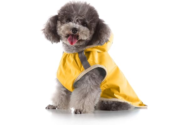 PetVogue Polyester Dog Waterproof Rain Jacket Raincoat With Hoodie, Reflective Adjustable Patch Lightweight Jumpsuit Outfits For Puppy Pet Cat Apparel Outdoor Summer, Yellow Medium, Pack Of 1