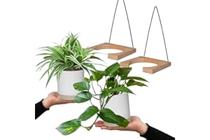 Grünlilie & Efeutute – Hängendes Zimmerpflanzen Starterpack – 2 Rankende Zimmerpflanzen frisch aus der Gärtnerei – Höhe 15-25 cm – Töpfe 10,5-12 cm – mit Wandhänger-Set – Green Me Up
