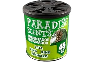 PARADISE SCENTS Paradise PER80122 Gel Désodorisant Parfum Pin, 100 G