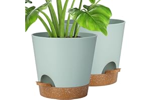 IDEALIFE 8 Inch Maceta con Plato, 2 Packs Macetas Plástico Maceteros Decorativos Interior con Agujeros de Drenaje,Riego Automático Macetas para Plantas Flores,Decoración del Hogar Balcón Jardín