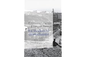 La modernité désenchantée: Relire l'histoire du XIXe siècle français